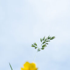 Atelier Photo : l'Art de la Composition