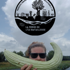 Atelier Fermentation avec Eva de la Ferme Batailleuse