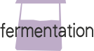 Atelier fermentation